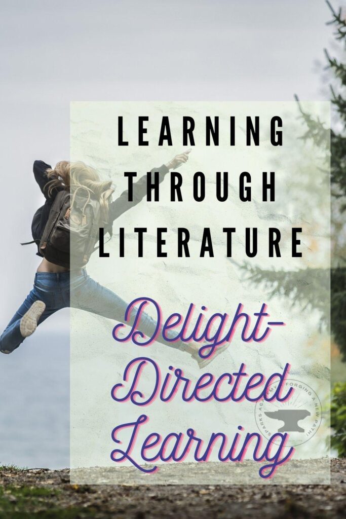 delight directed learning